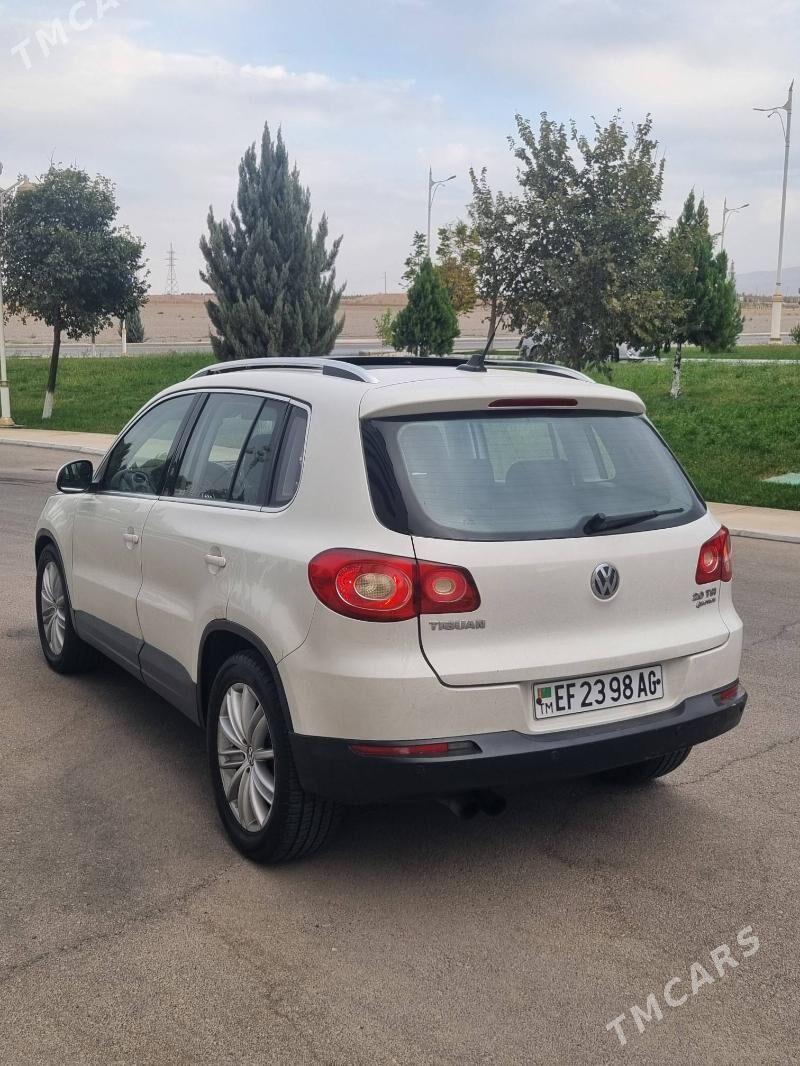 Volkswagen Tiguan 2010 - 169 000 TMT - Ашхабад - img 4