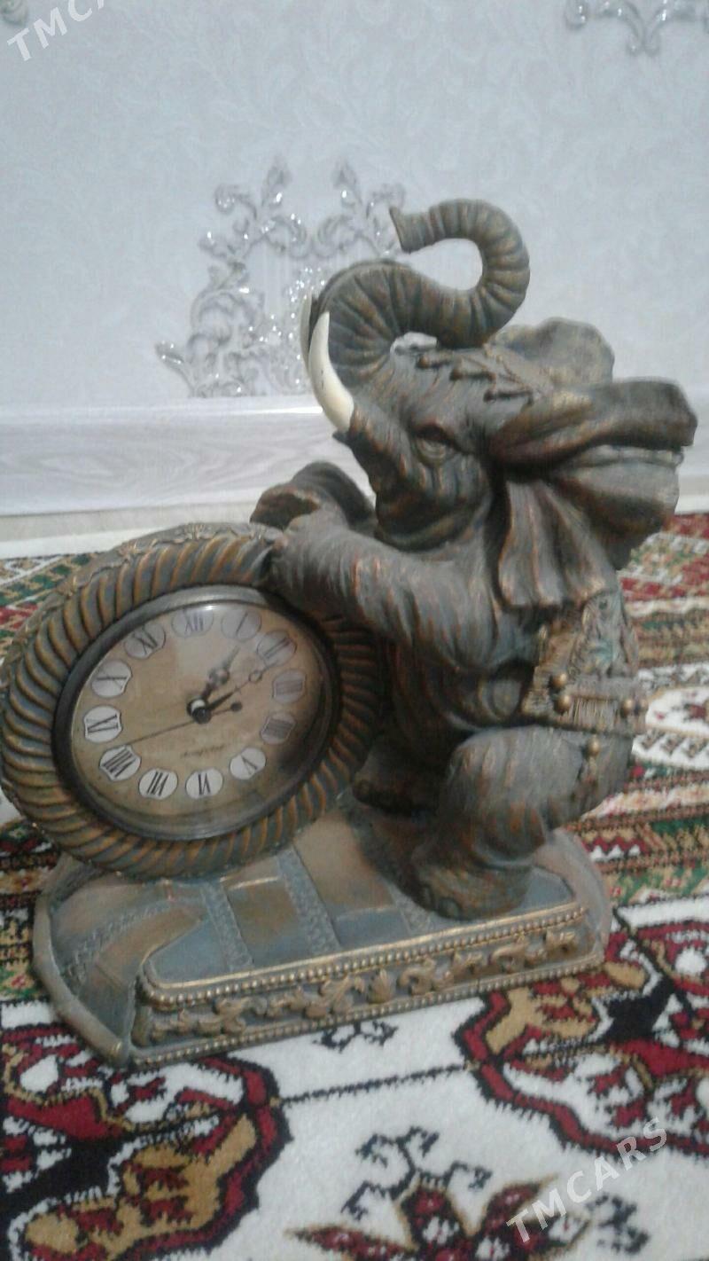 Sagat nastolny  slon - Mary - img 3