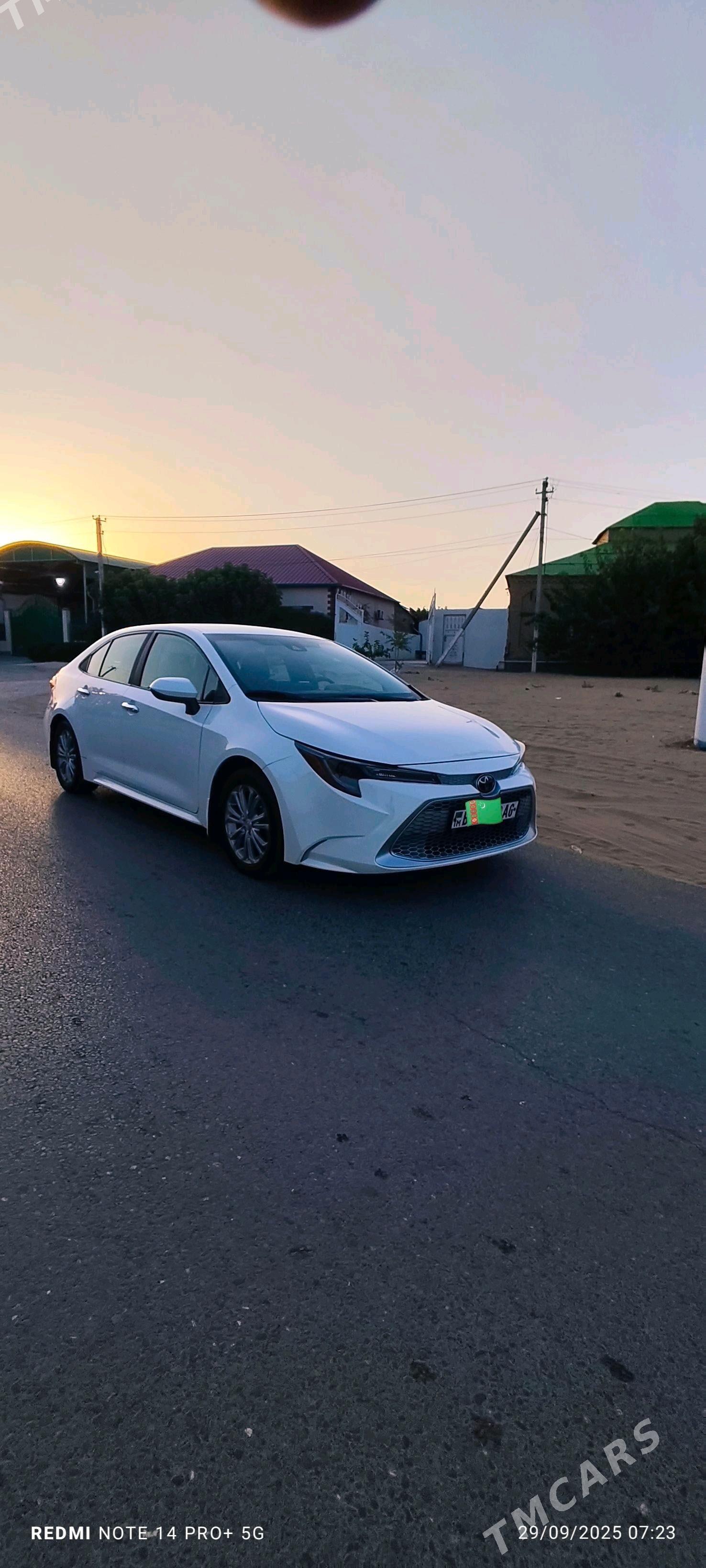 Toyota Corolla 2019 - 233 000 TMT - Çoganly - img 3
