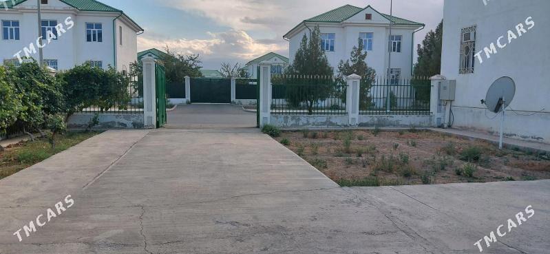 Täze Zaman kotej 1 tapgyr - Тязе заман - img 3