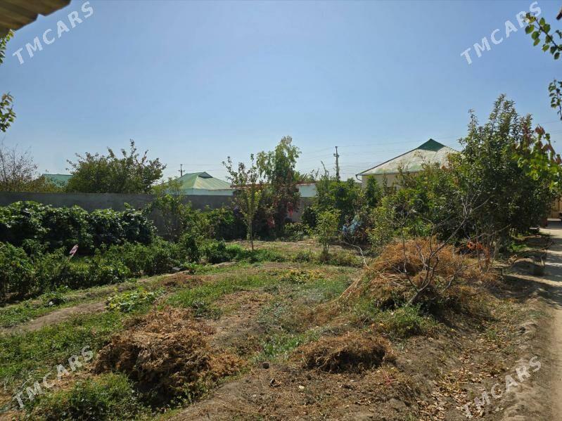 Bagyr Mirewe Баг 12 sotyk plan - Багир - img 2