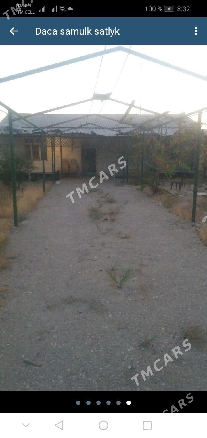 samulk daca - Балканабат - img 3
