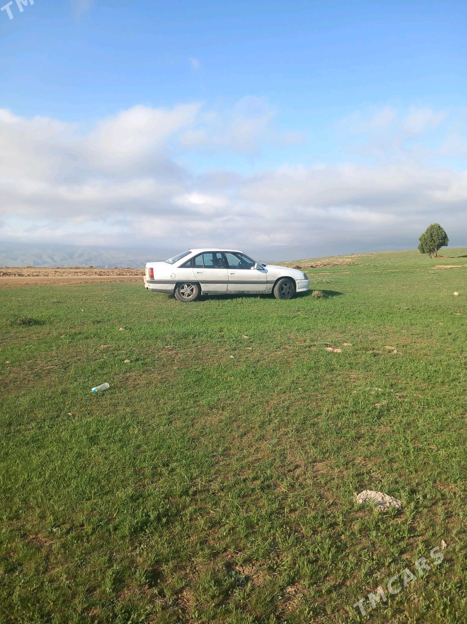 Opel Omega 1993 - 26 000 TMT - Бекреве - img 2