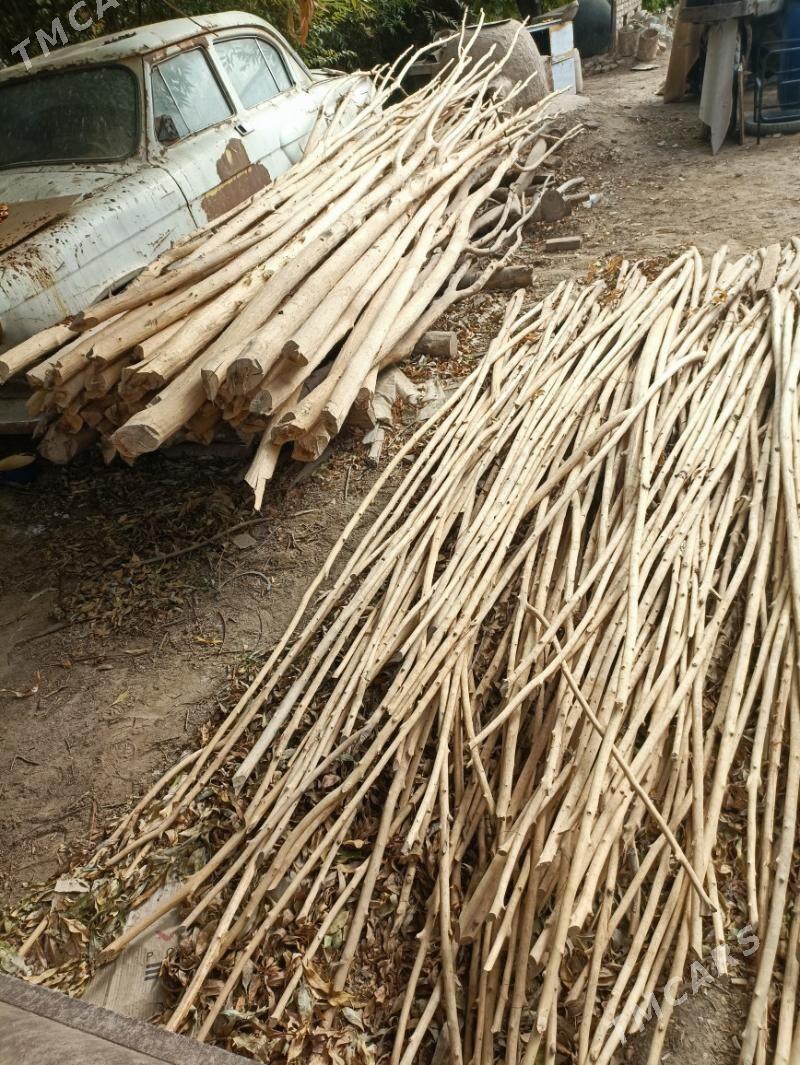 Agac hada gyssagly.. - Акдепе - img 2