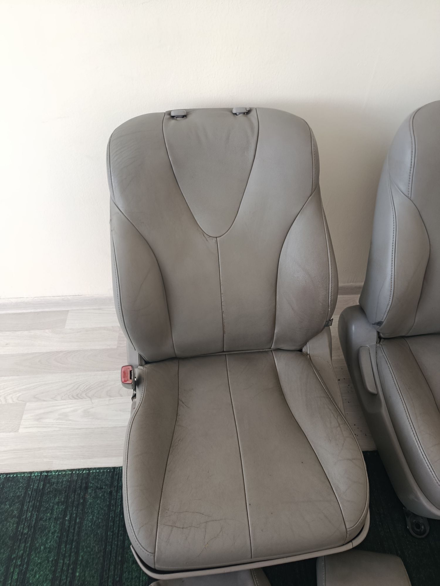 okuz kemri koja sidenya morda 4 200 TMT - Ашхабад - img 6