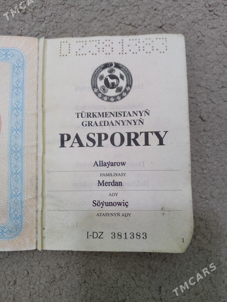 Pasport Tapdym - Хитровка - img 2