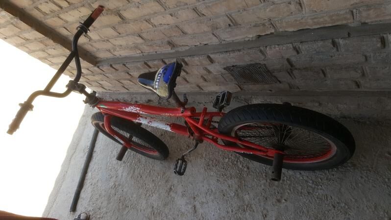 welsepet tigir kama welik - Мары - img 9