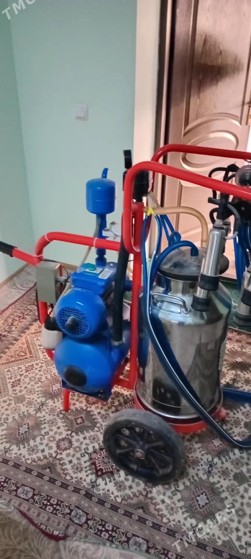 Süýt sagýan aparat - Mary - img 2