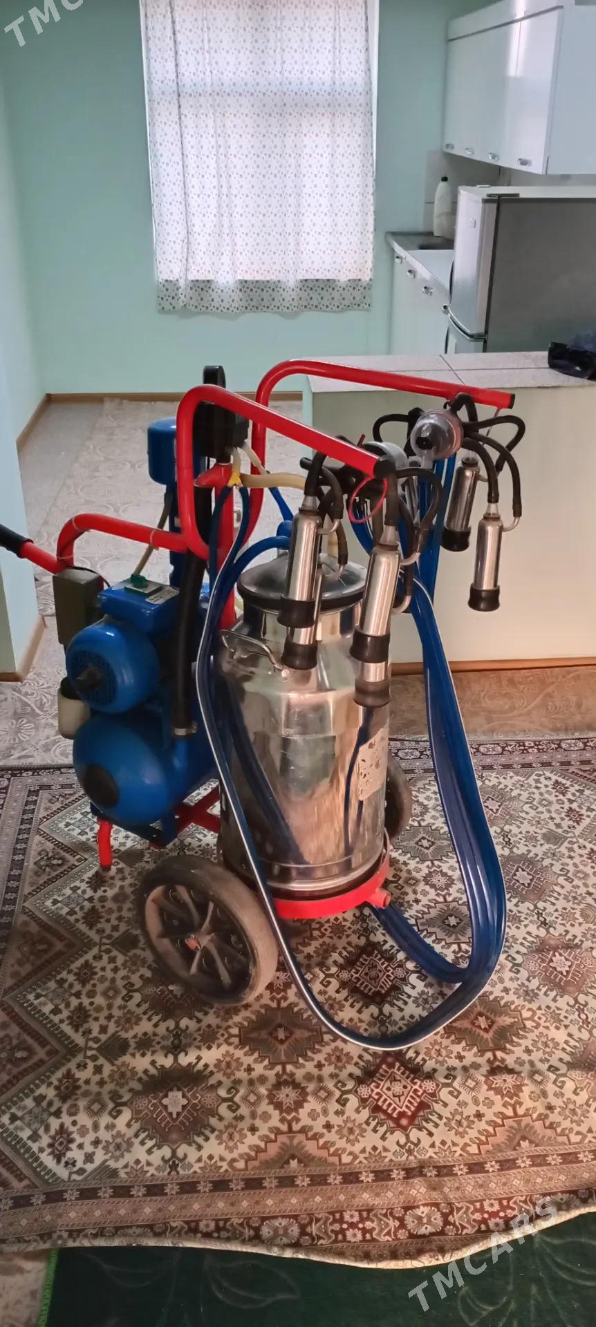 Süýt sagýan aparat - Mary - img 3