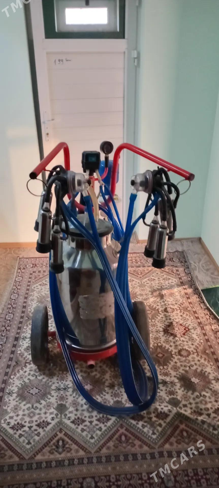 Süýt sagýan aparat - Mary - img 1