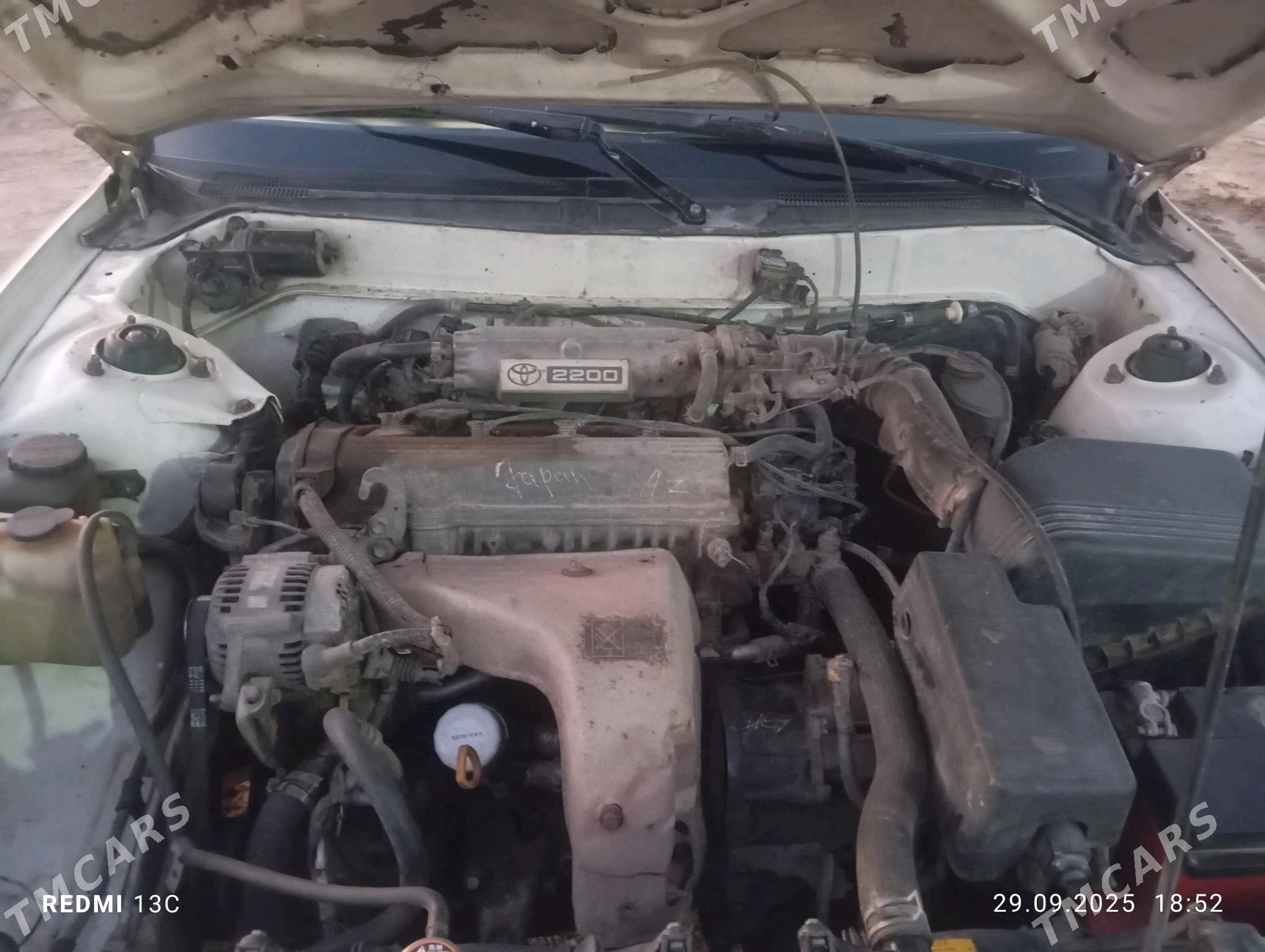 Toyota Camry 1996 - 90 000 TMT - Sakarçäge - img 4