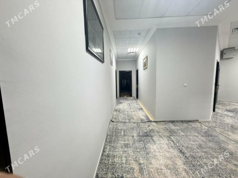 Moskowsky podwosky - Ашхабад - img 4