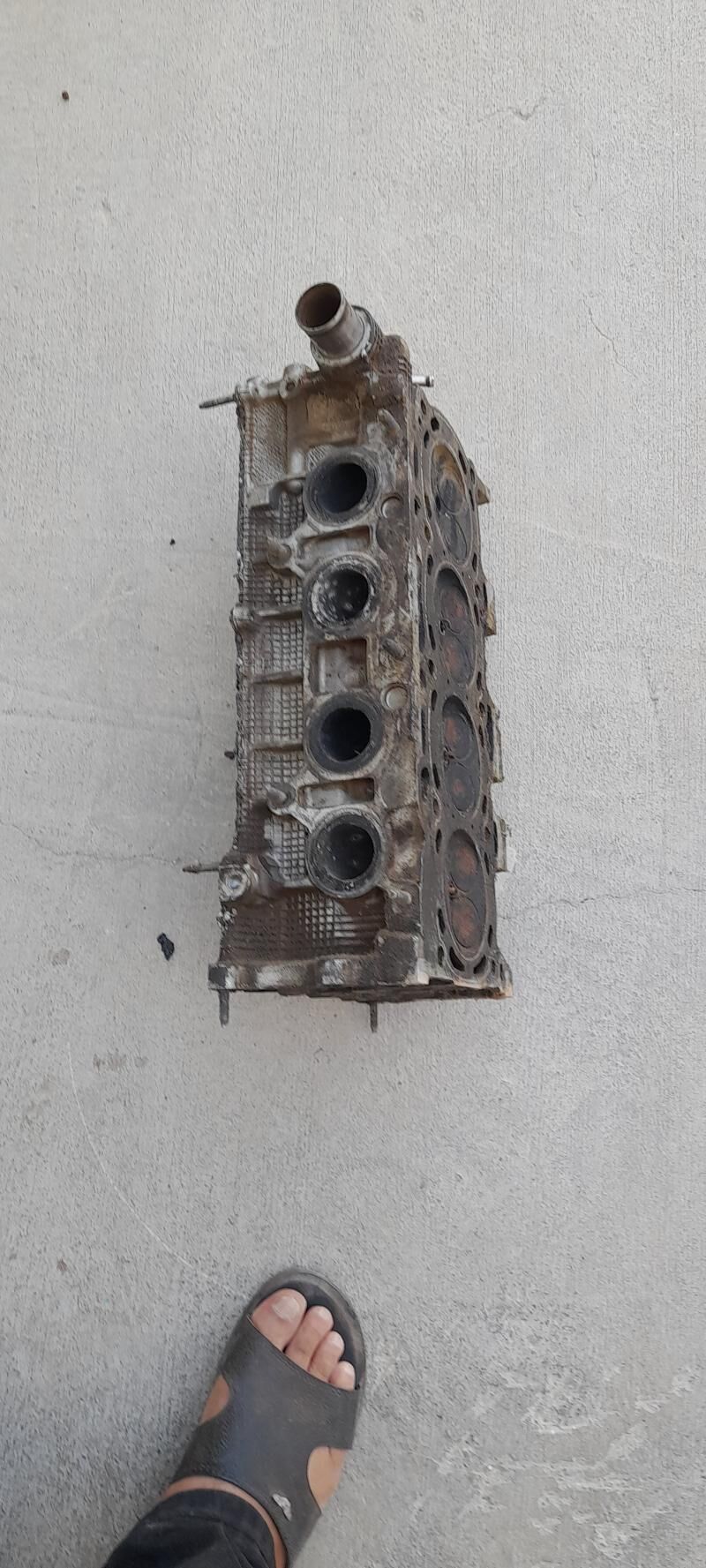 golowka 800 TMT - Änew - img 2