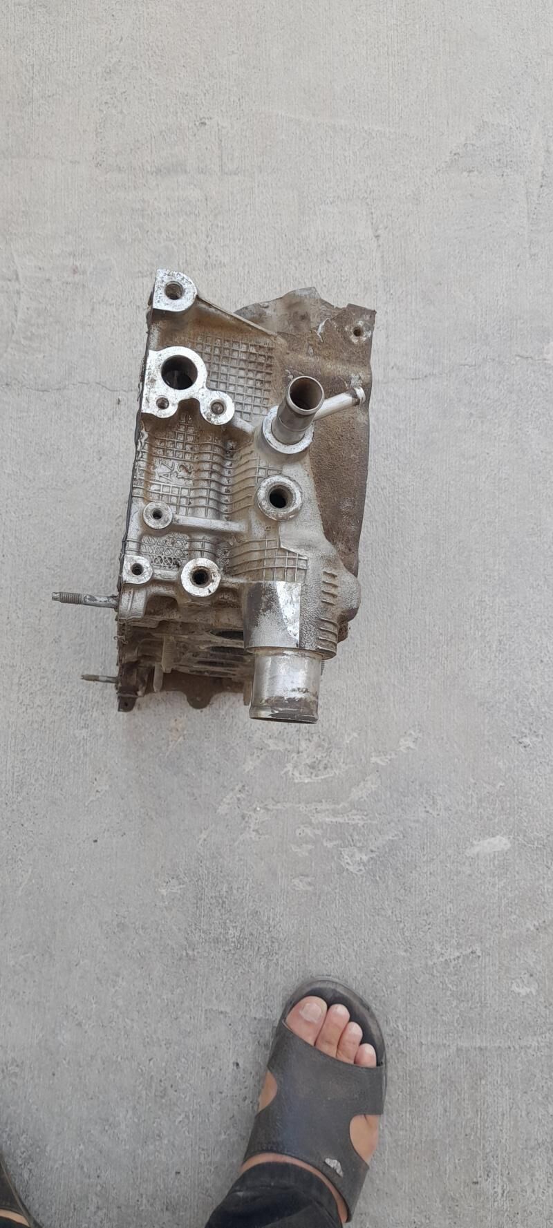 golowka 800 TMT - Änew - img 5