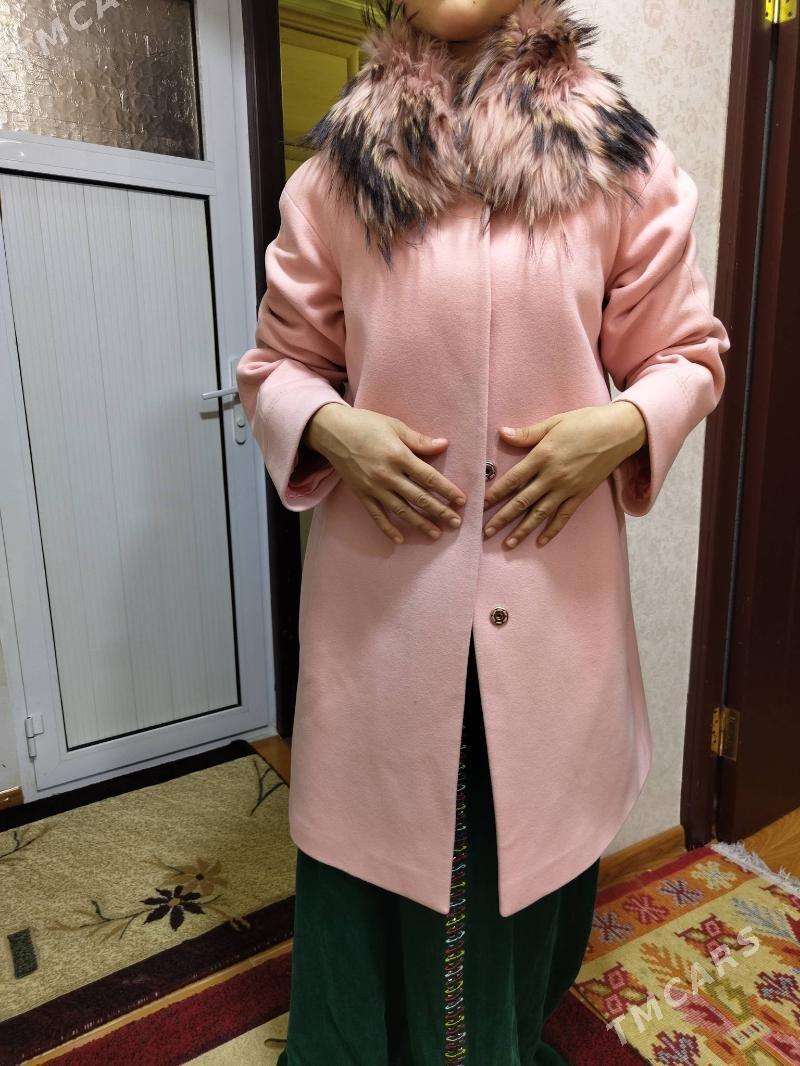 palto - Мир 2 - img 3