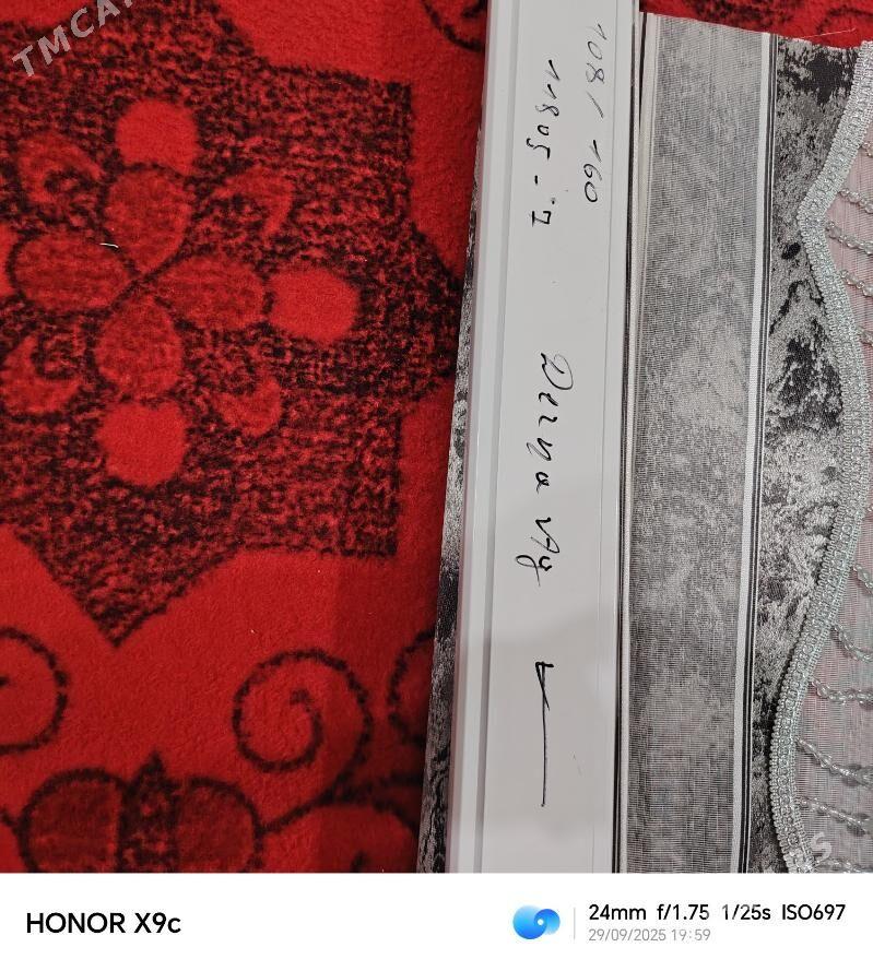 Zalyuz - Änew - img 2