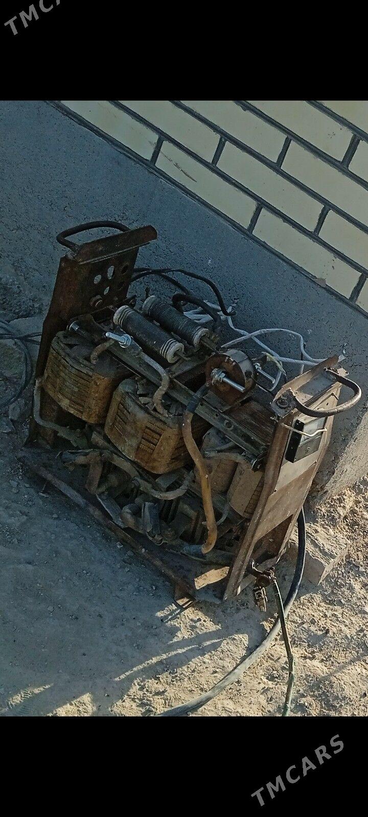 Sywarka we tok kopeltyan - Murgap - img 2