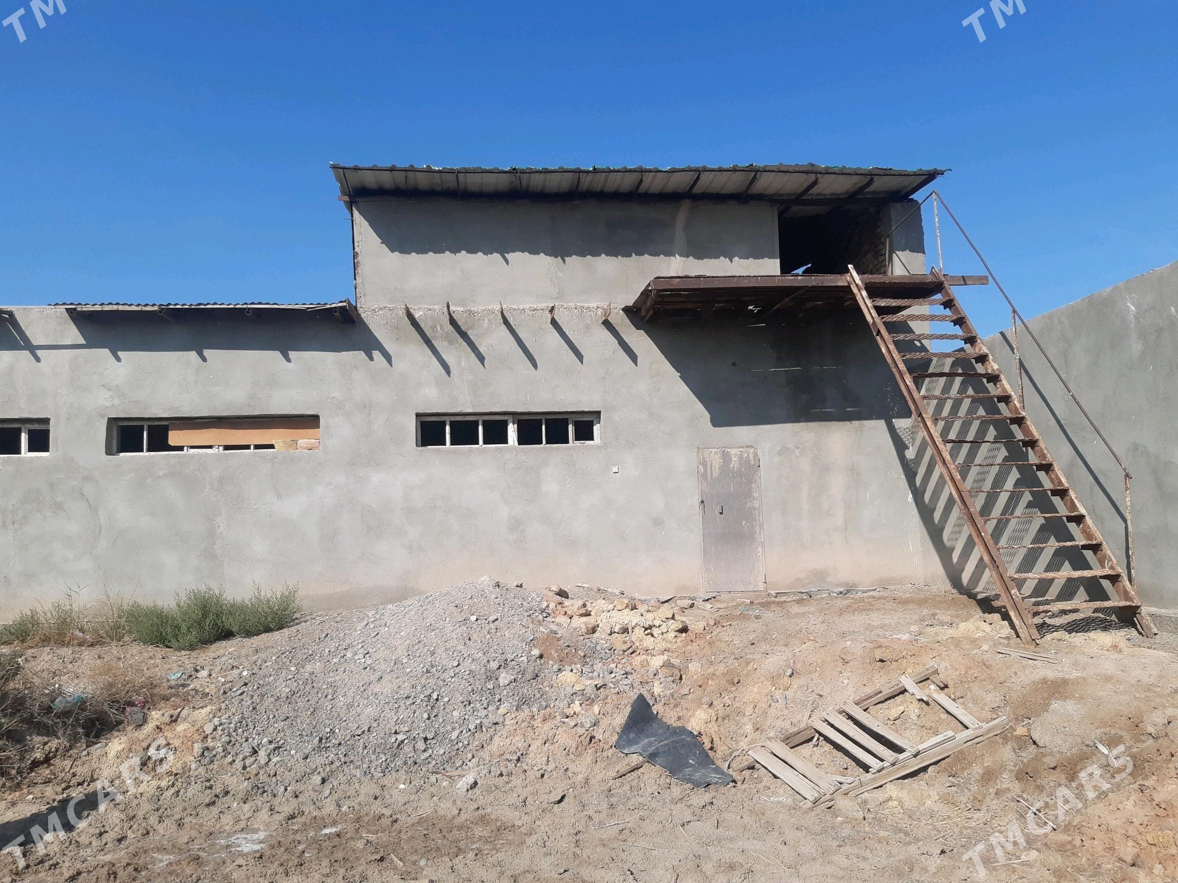 jay satlyk - Шабатский этрап - img 5