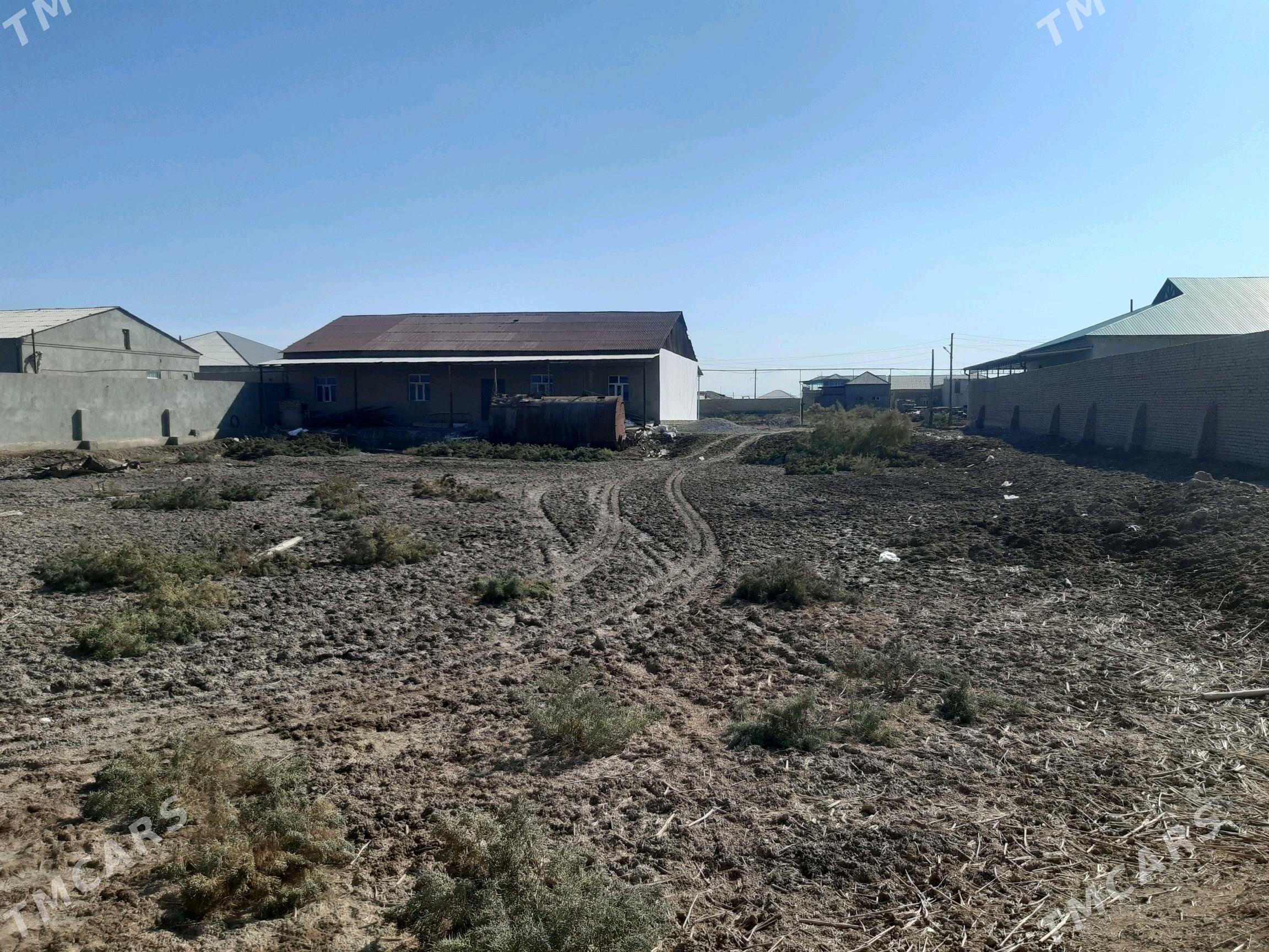 jay satlyk - Шабатский этрап - img 4