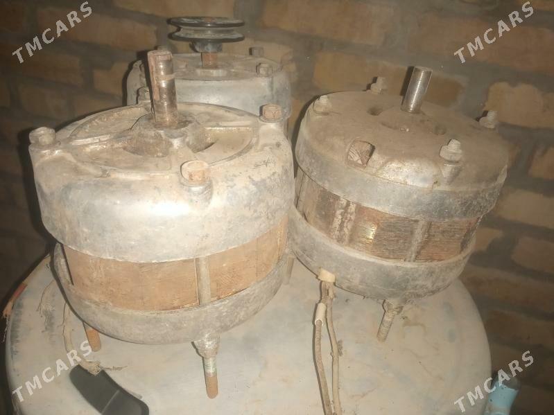 kirgizya motor - Halaç - img 2