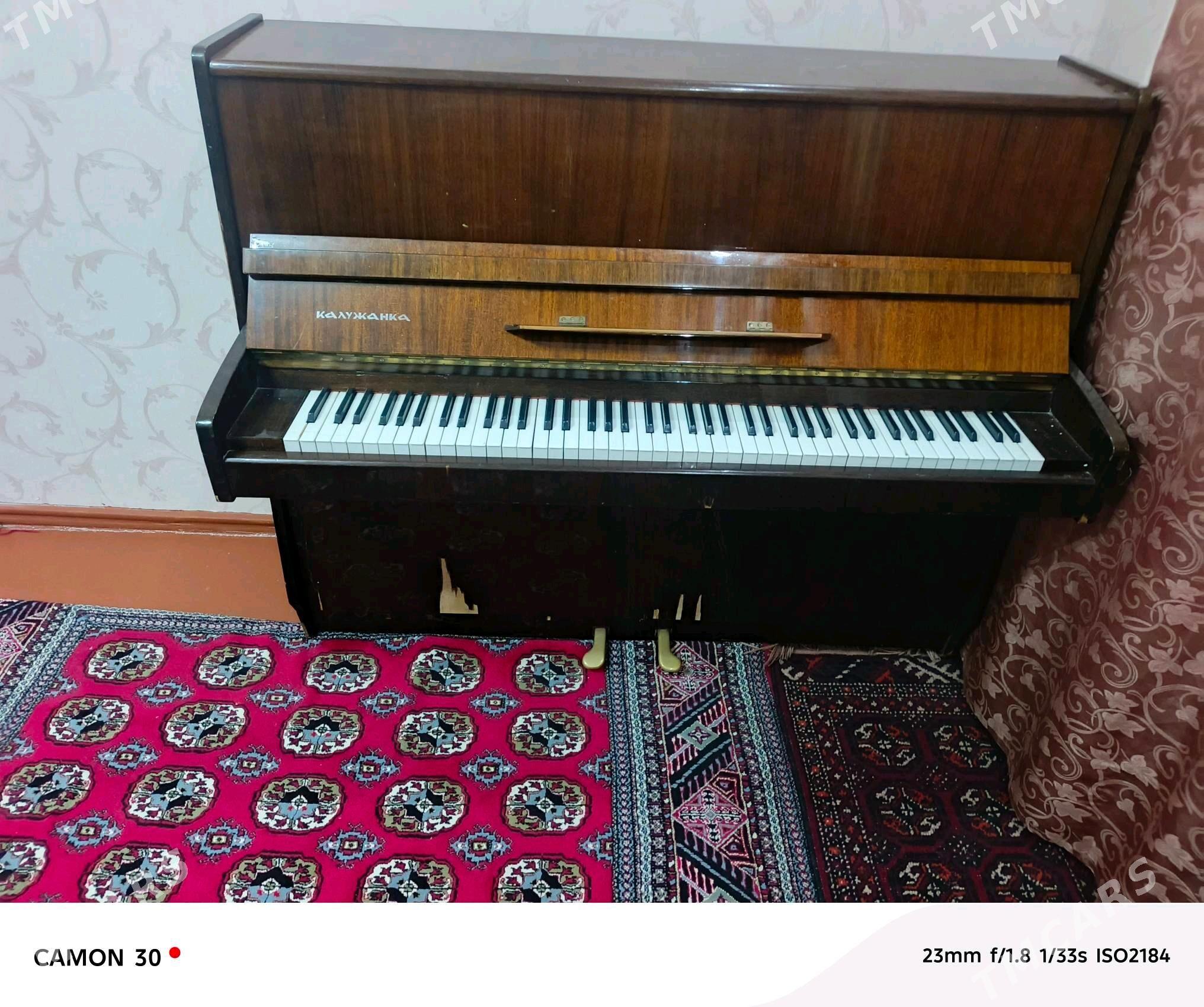 piano Belarus - Ашхабад - img 2