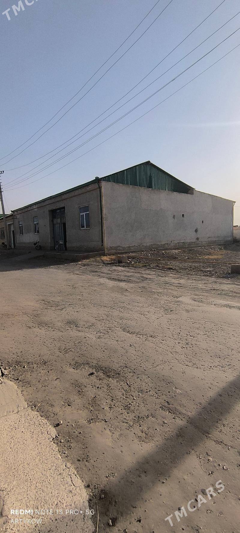 Satlyk Jay. Denow  - Dänew - img 9