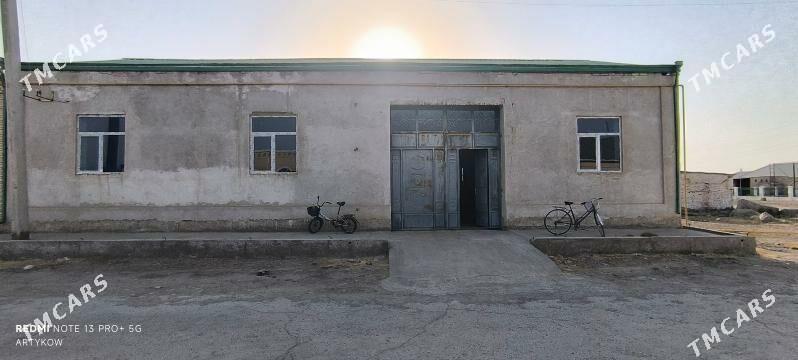 Satlyk Jay. Denow  - Dänew - img 3