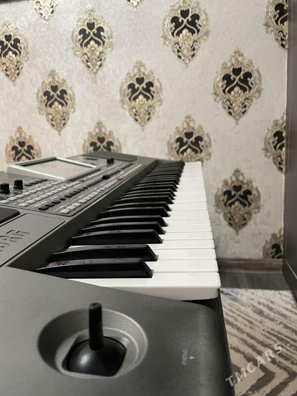 Korg Pa-900 - Daşoguz - img 8