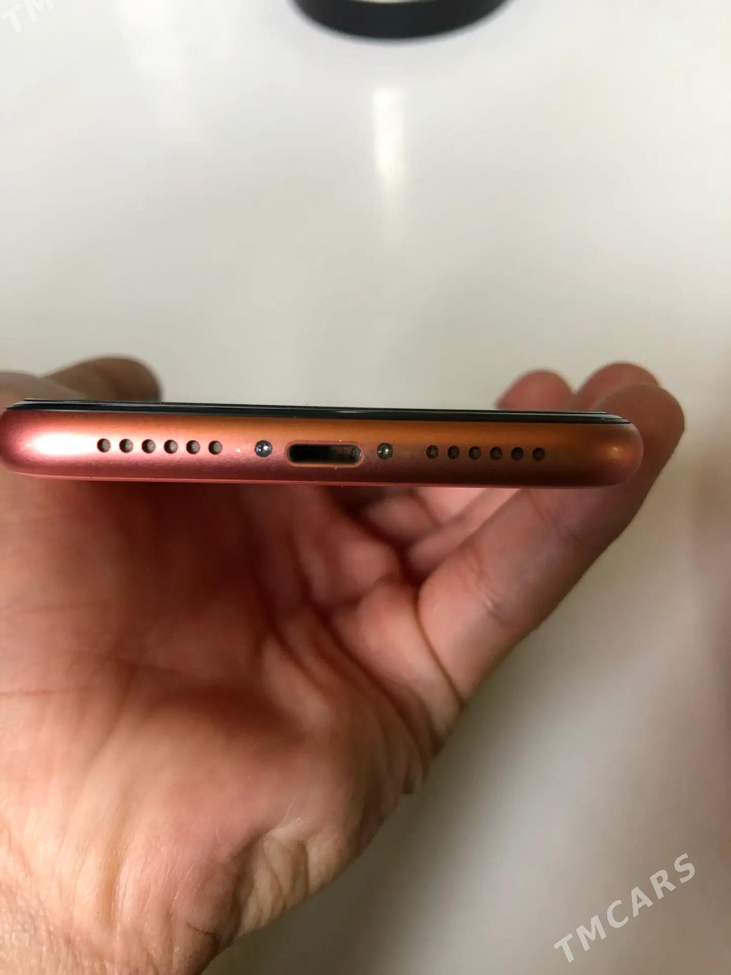 iPhone XR - Türkmenabat - img 2