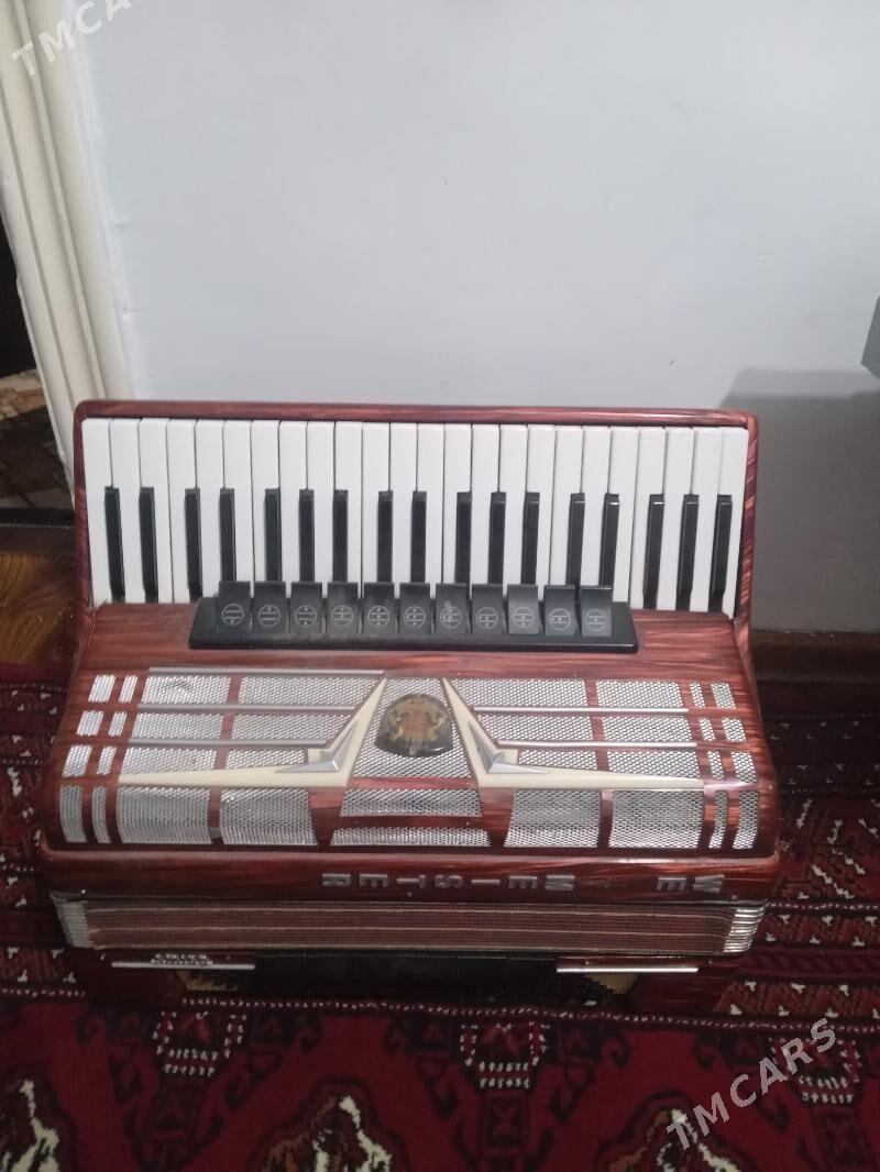 instrument - Сакар - img 3