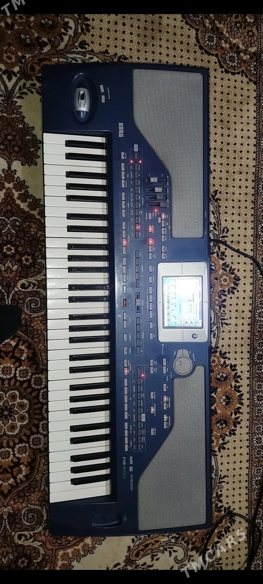 Korg Pa800 - Kaka - img 2