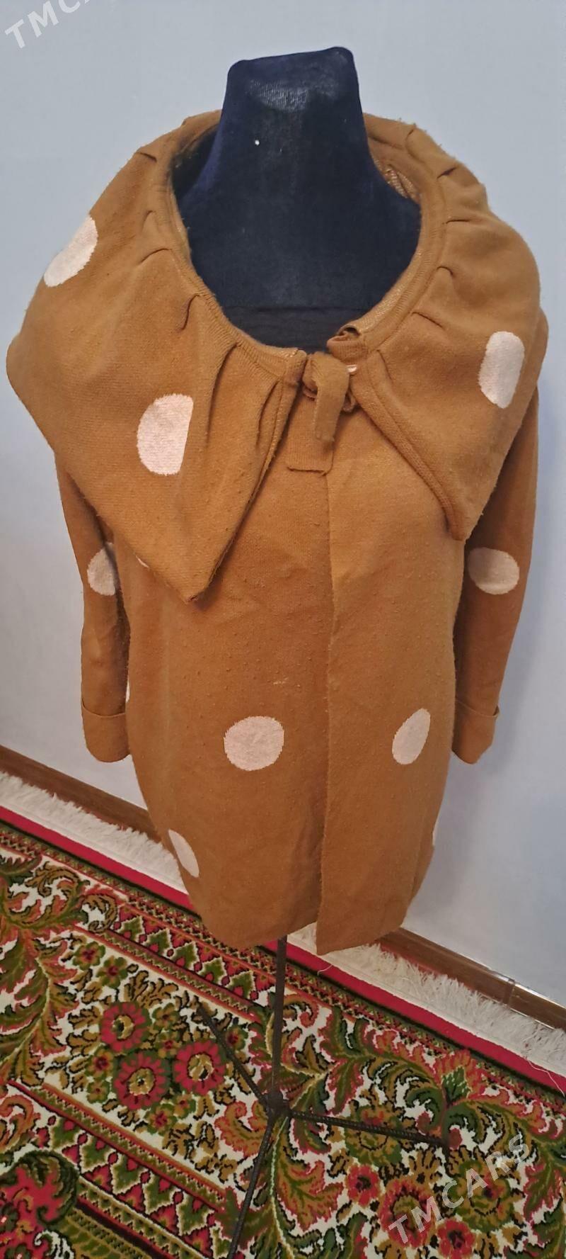 Gonur jempir - Köşi - img 2