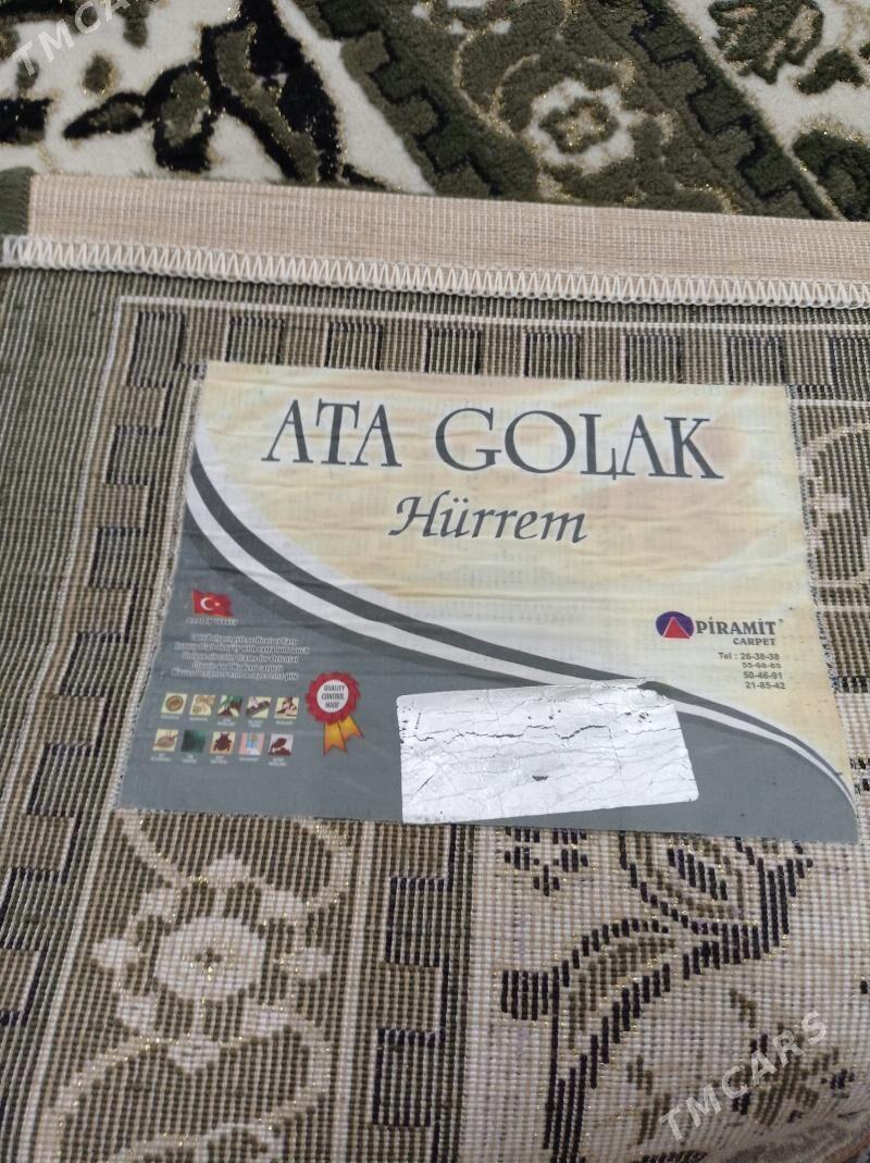 Haly - Туркменбаши - img 5