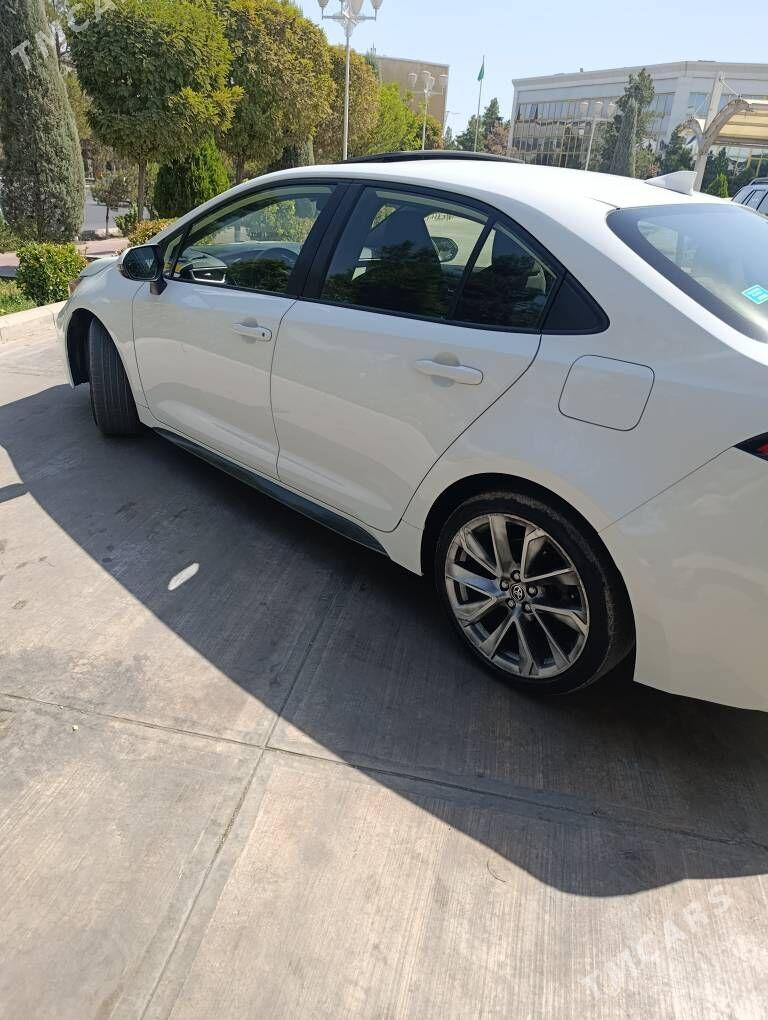 Toyota Corolla 2020 - 300 000 TMT - Мары - img 3