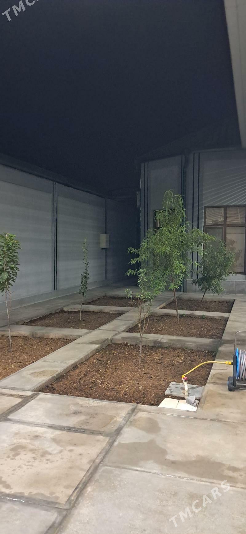 EŸESINDEN ÇOGANLY PLON JAŸ - Чоганлы - img 4