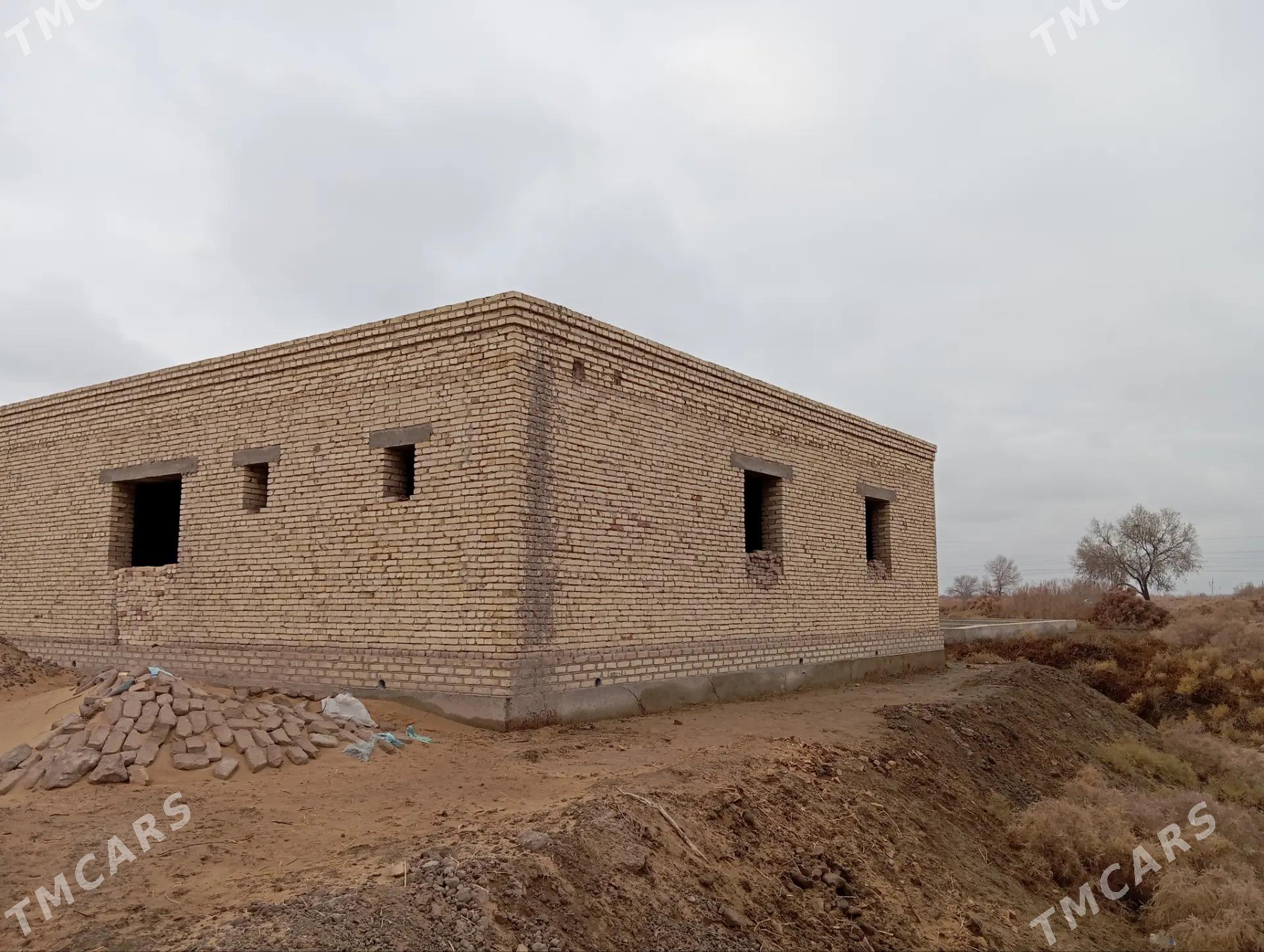 satlyk jay - Гороглы (Тагта) - img 3