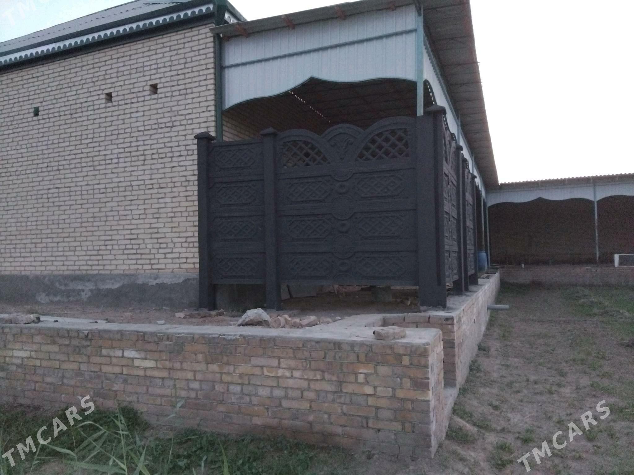 Beton Zabor (Haýat) - Сейди - img 9