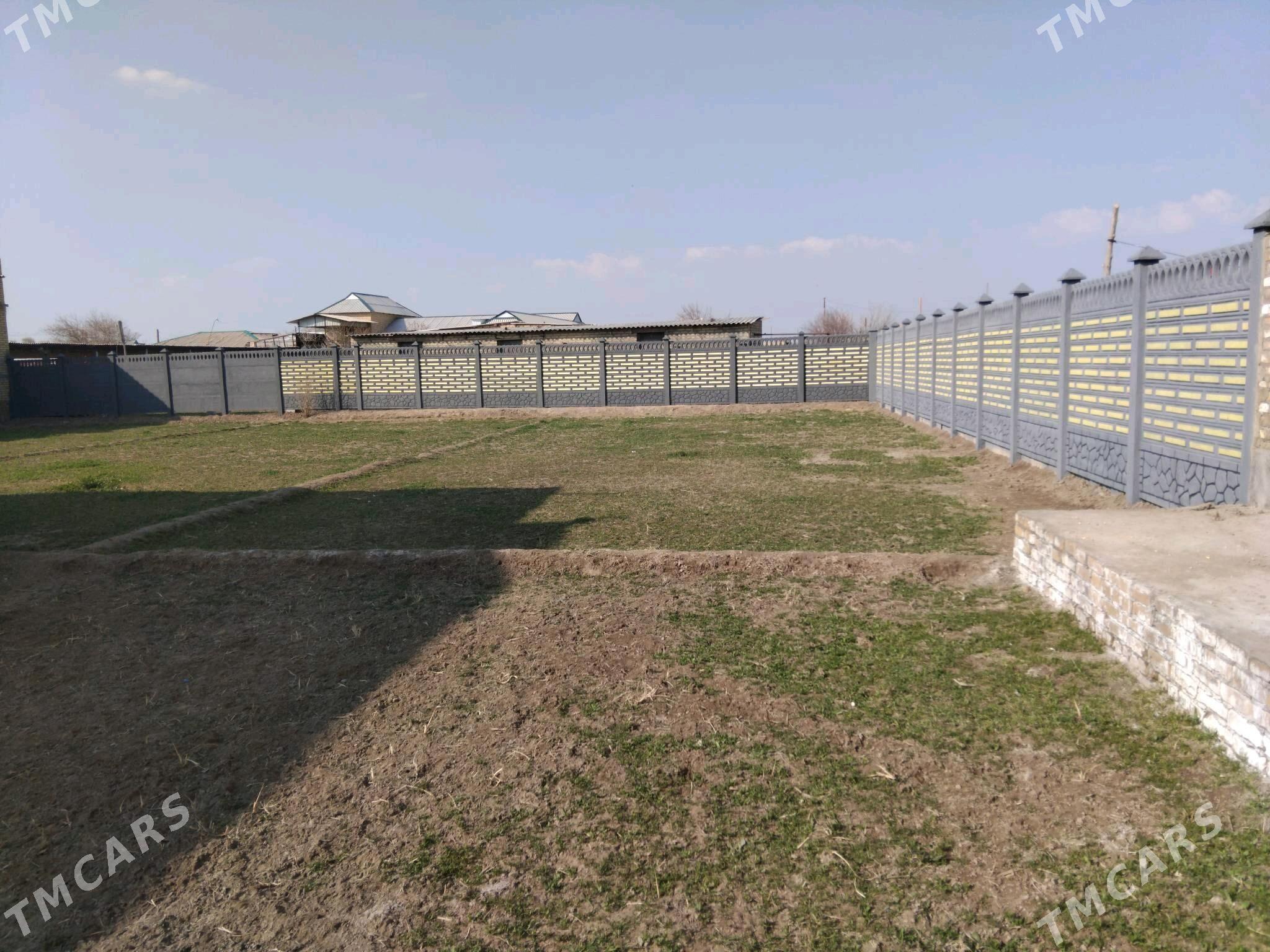 Beton Zabor (Haýat) - Çärjew - img 2