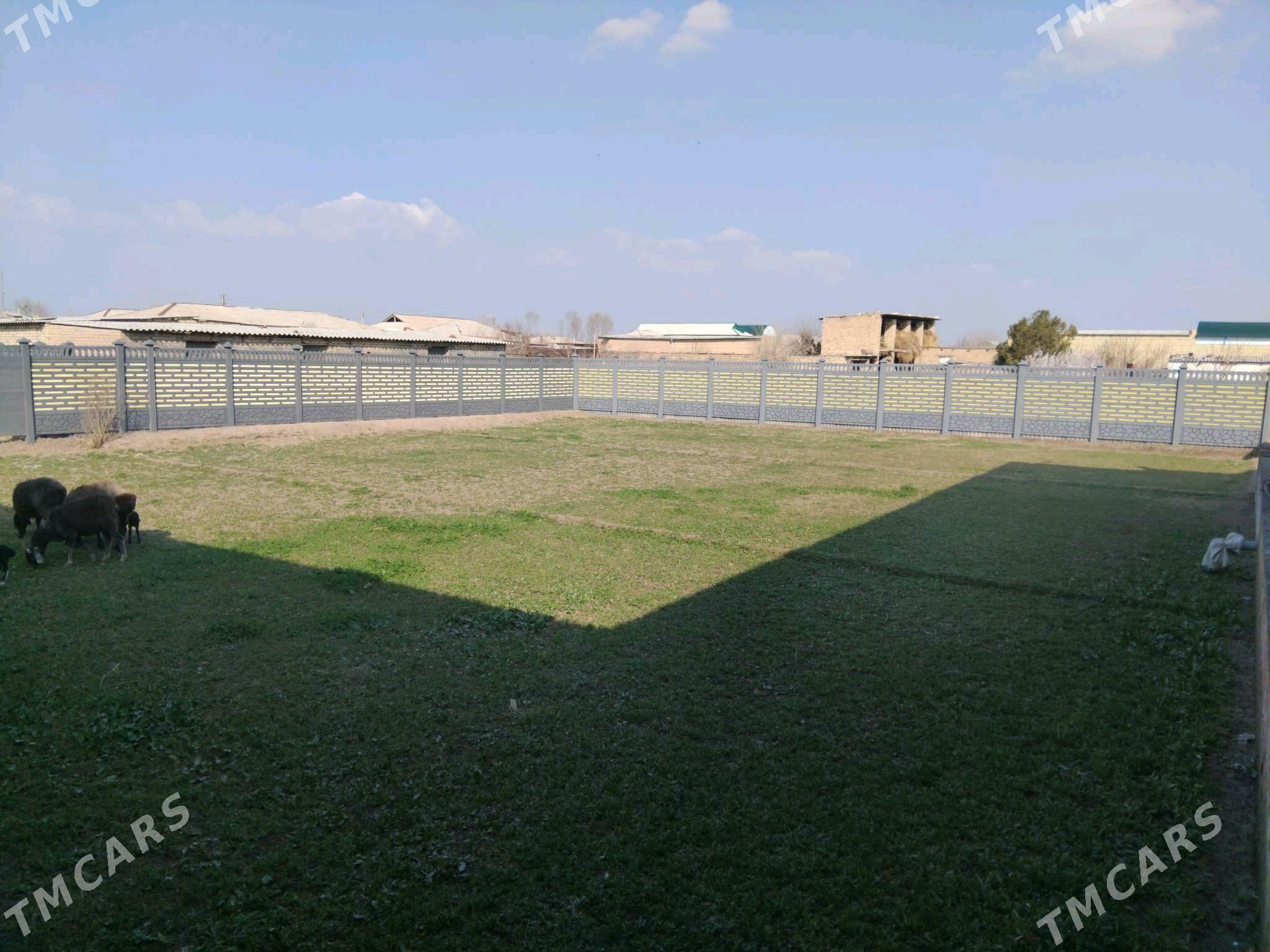 Beton Zabor (Haýat) - Çärjew - img 6