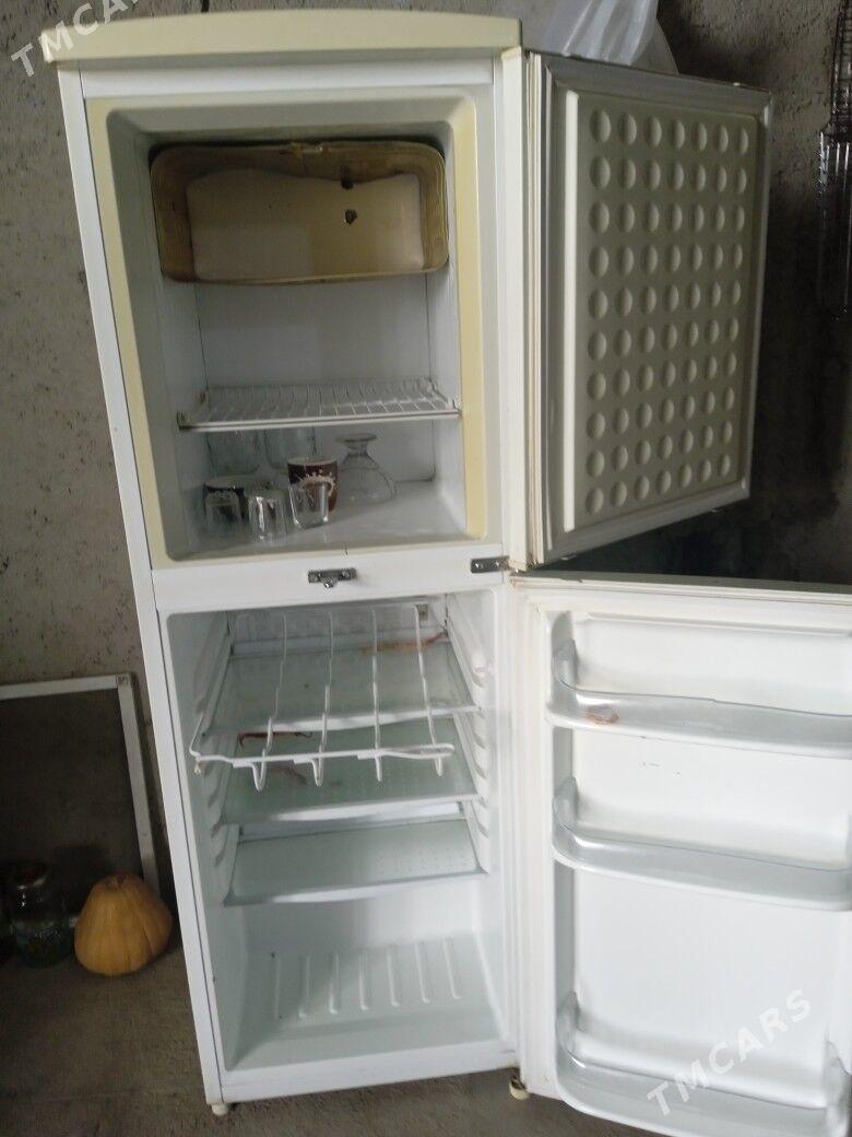 халаделник - Анев - img 2