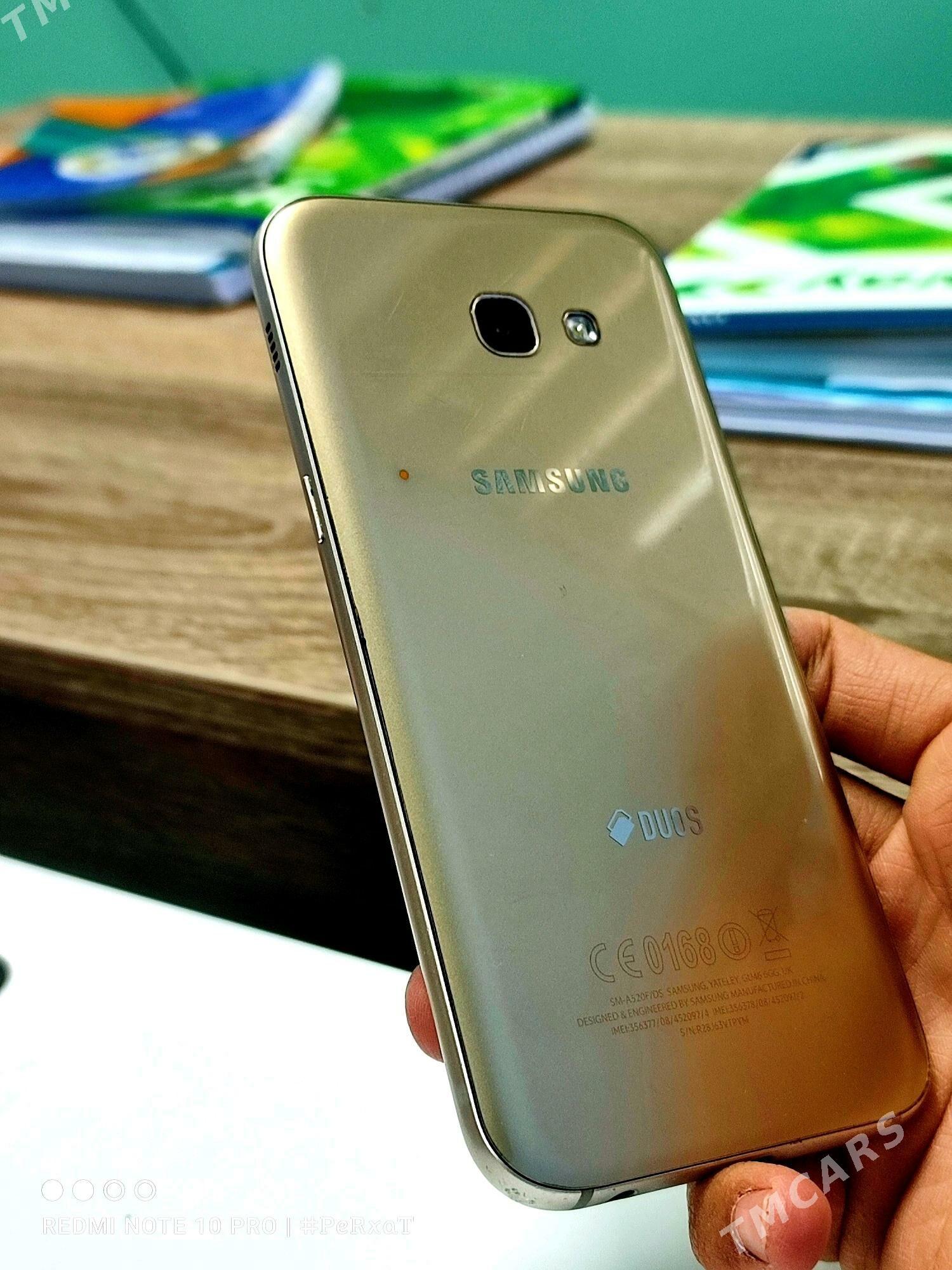 A5.18 Gold - Мары - img 4