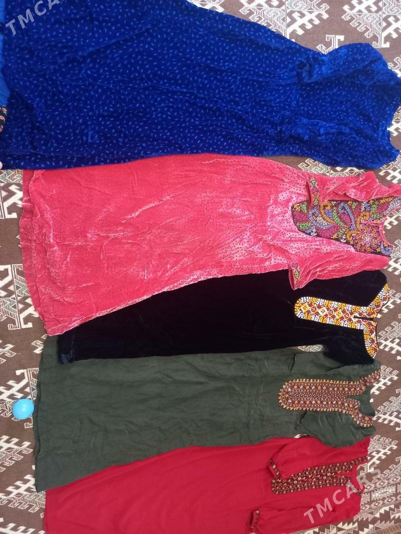 Pombarh kóynek - Aşgabat - img 3