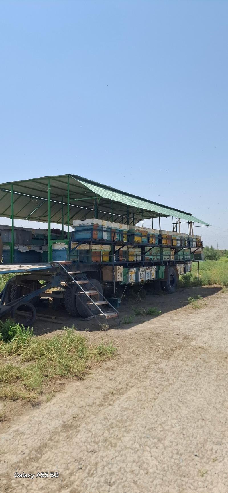 Bal Ary Biznes - Aşgabat - img 3