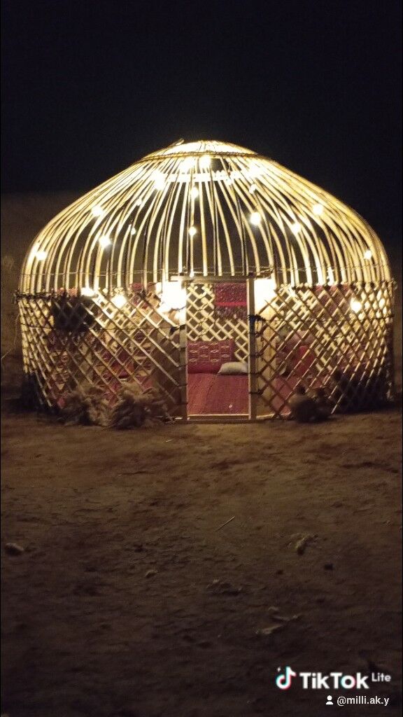 Гамыш Gamyş AK öý garaja öy - "Altyn Asyr" Gündogar bazary (Jygyllyk) - img 9