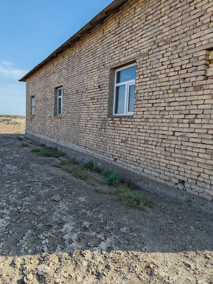 жай - Köneürgenç - img 5