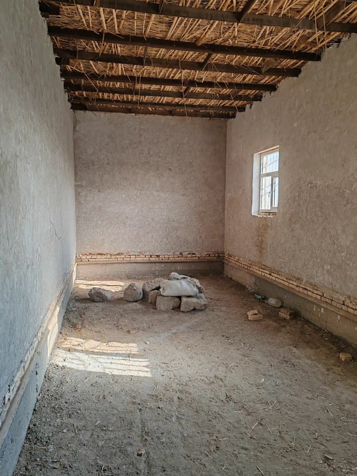 жай - Köneürgenç - img 3