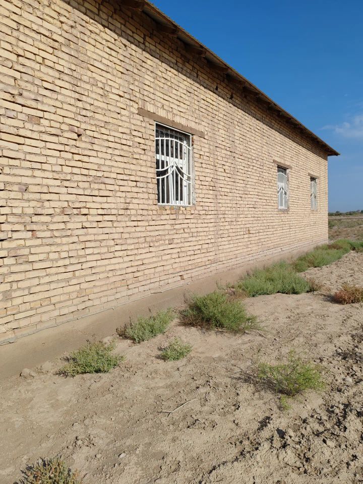 жай - Köneürgenç - img 4