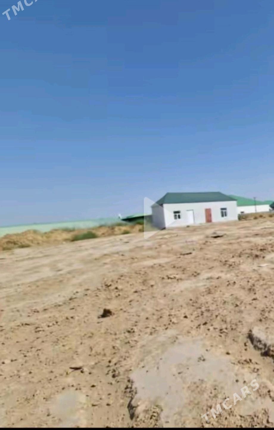 satlyk plan Anew Magtymguly - Анев - img 2