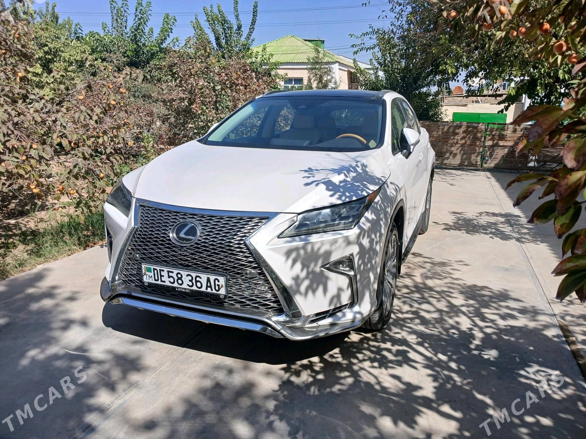 Lexus RX 350 2019 - 495 000 TMT - Ашхабад - img 2