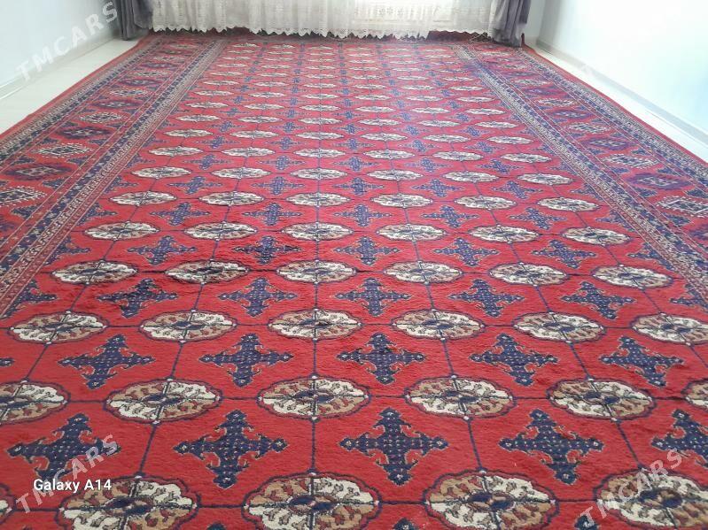 haly - Aşgabat - img 2